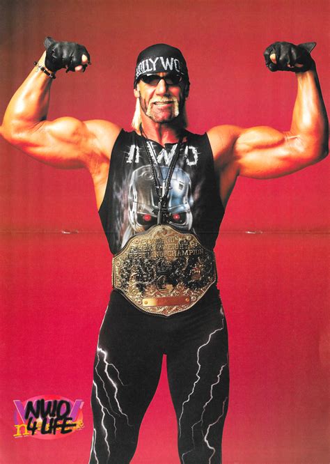 Hulk Hogan Nwo 1996 1999
