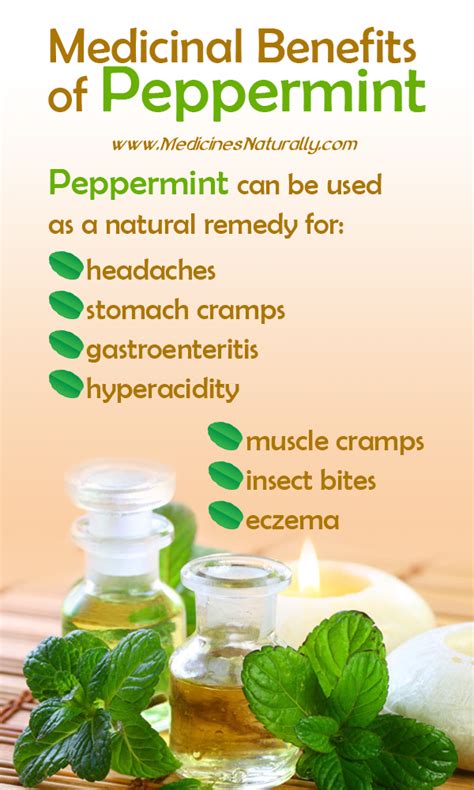 Peppermint Essential Oils Therapeutic Benefits | Peppermint essential oil, Essential oils herbs ...