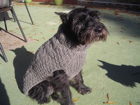 Gray Cable Knit Wool Dog sweater - Chilly Dog Sweaters