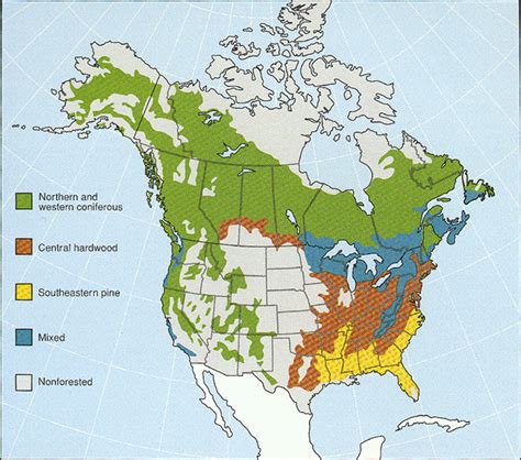 Coniferous Forest Biome Map