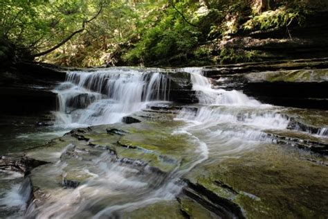 Sugar Creek Glen Campground | Go Camping America