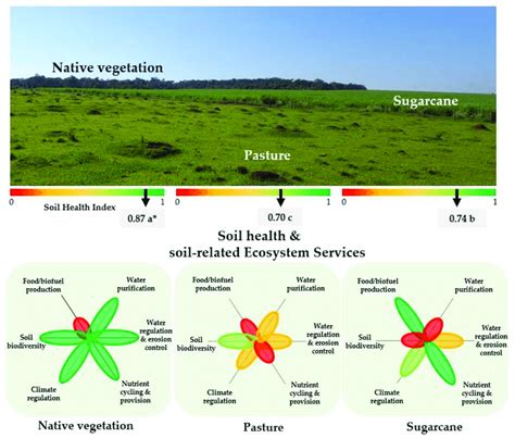 Soil health and soil-related ecosystem service responses to land-use ...