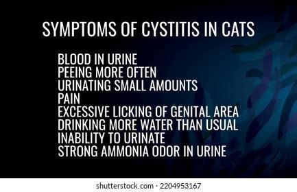 1 Symptoms Of Cystitis In Cats Images, Stock Photos & Vectors ...