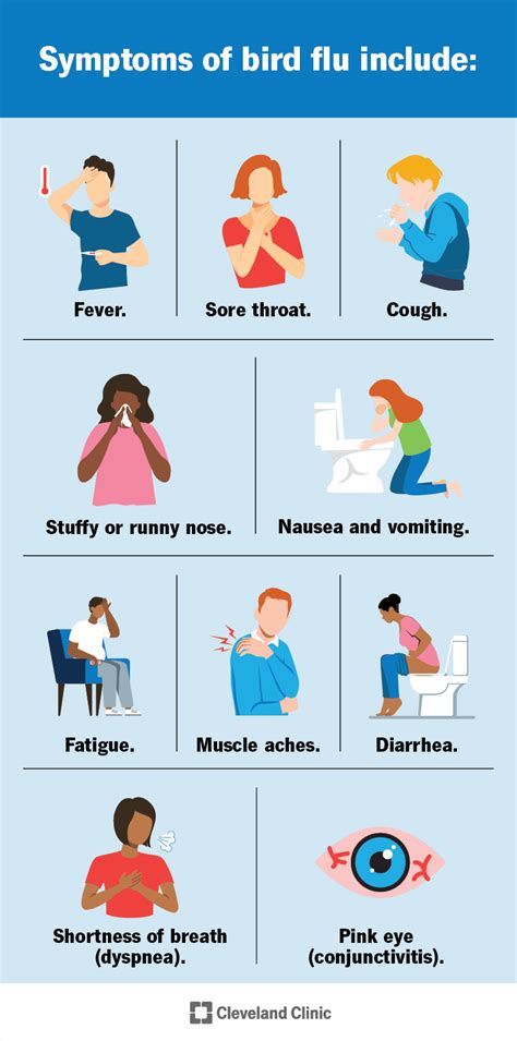 Bird Flu (Avian Influenza)