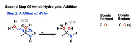 Amide Hydrolysis Using Acid Or Base – Master Organic Chemistry