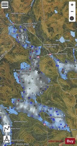 Mooselookmeguntic Lake Fishing Map | Nautical Charts App