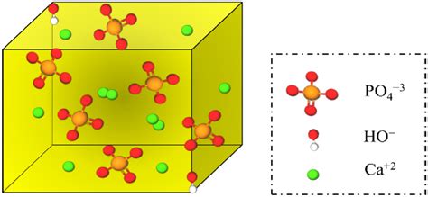 Pictorial illustration of the structure of hydroxyapatite crystal | Download Scientific Diagram