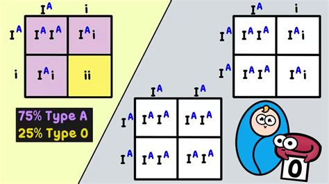 Chapter 14. Mendel and Heredity | Biology for Majors (openstax import)