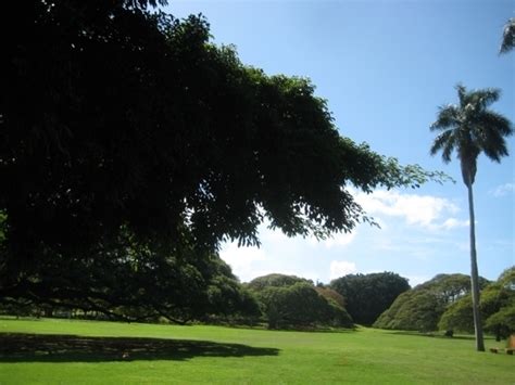 Moanalua Gardens in Honolulu, Hawaii - Kid-friendly Attractions | Trekaroo