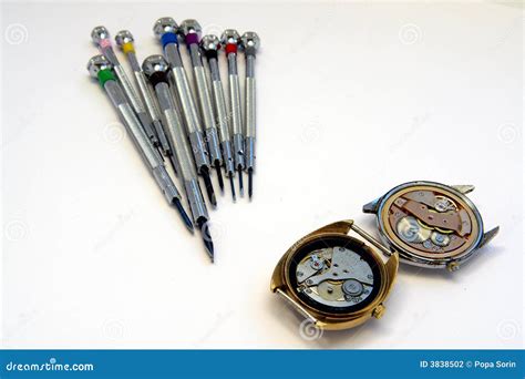 Watchmaker screwdriver stock photo. Image of readjustment - 3838502