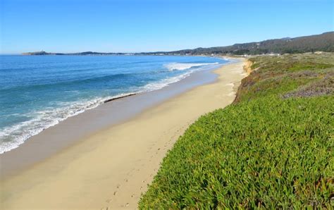 Dunes Beach at Half Moon Bay State Beach in Half Moon Bay, CA - California Beaches