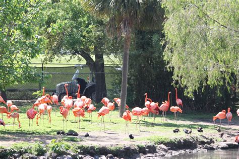 The Robertson Family: New Orleans Zoo