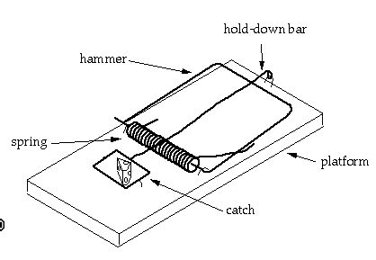 Physics: Mouse Trap Cars