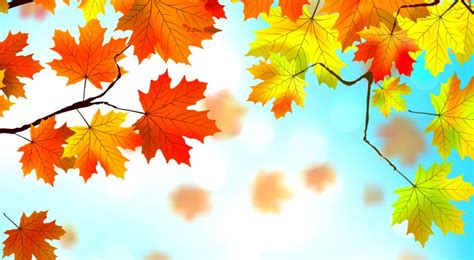 🔥 [60+] Free Fall Images Wallpapers | WallpaperSafari