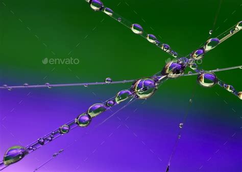 Macro water droplets Stock Photo by darrenb29 | PhotoDune