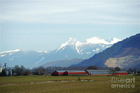 Fraser Valley Farm Photograph by Randy Harris - Fine Art America