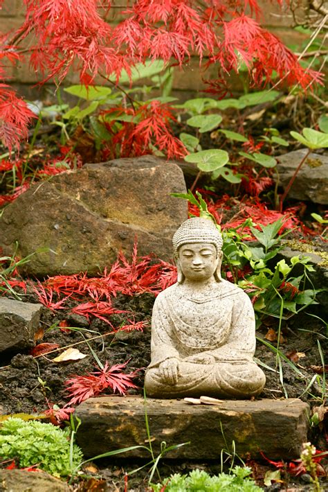 Place Your Garden Buddha for Good Feng Shui | Open Spaces Feng Shui ...