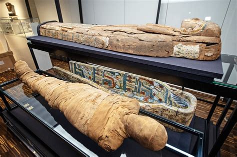 The Science Behind Ancient Egypt’s Mummies – Page 22 – Science Sensei