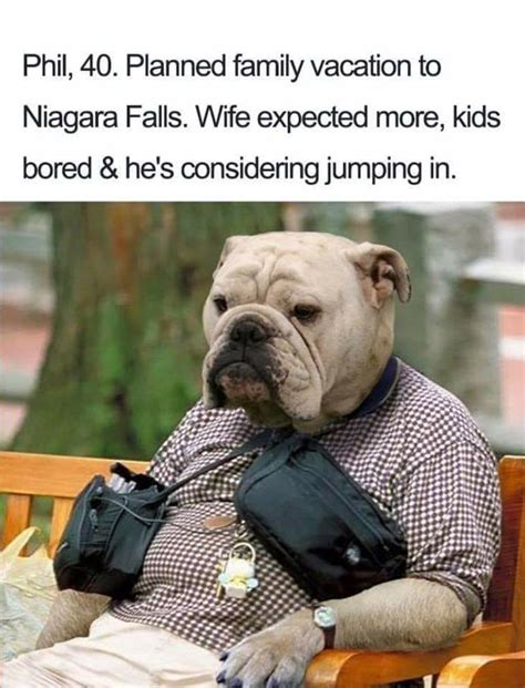 15 Funny Doggo Memes - Gallery | eBaum's World