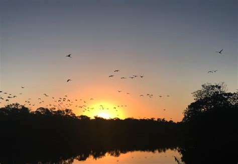 St. Lucie Inlet Preserve State Park | Florida State Parks