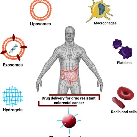 Advanced hydrogel-based drug delivery systems for CRC. A. Hybrid ...