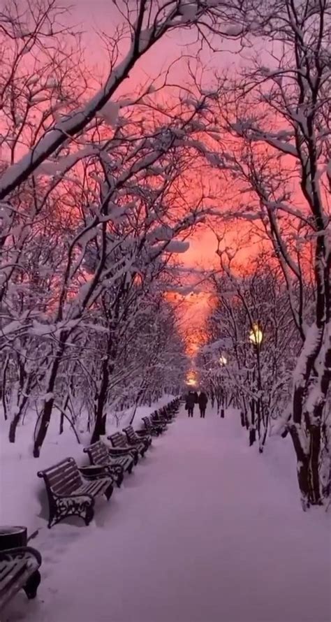 Pin by Mone Hicks on christmas in 2023 | Winter scenes wonderland ...