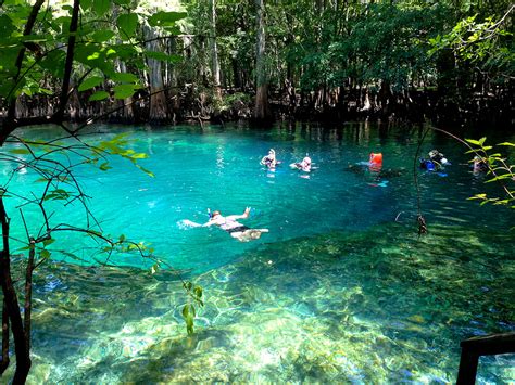 Manatee Springs State Park | Florida Hikes!