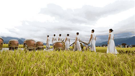 乡村振兴案例：这个乡村用一场稻田音乐会，让无数明星心神向往！