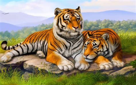 Tiger Family Wallpaper Hd - 3840x2400 - Download HD Wallpaper ...