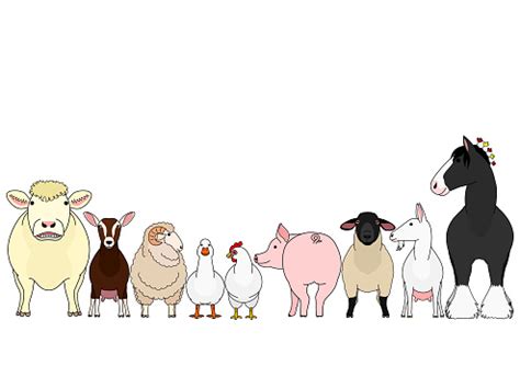 Ilustración de Lindos Animales De Granja De Dibujos Animados En Una Fila y más Vectores Libres ...