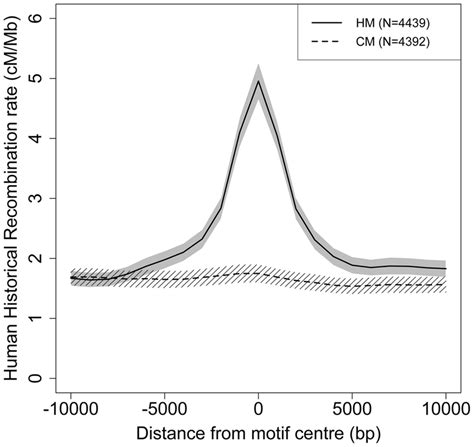 Modern human recombination profiles around HM and CM motifs found in ...