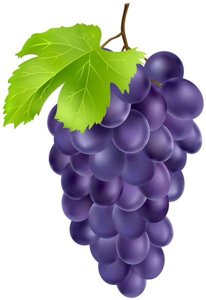 Outline Grapes Clipart - Cliparts and Others Art Inspiration - Clip Art ...