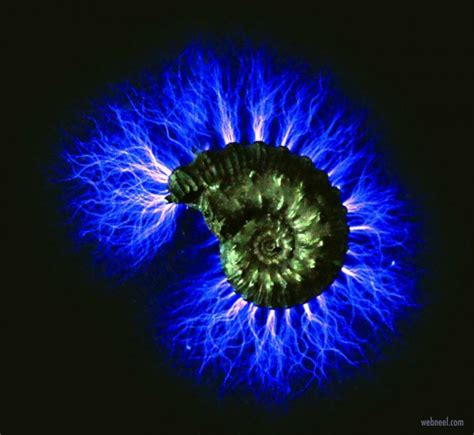 20 Best Kirlian photography examples and techniques for beginners ...