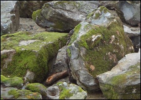 Landscape Boulders NJ, NY, PA: Stone Boulder & Rocks For Landscaping