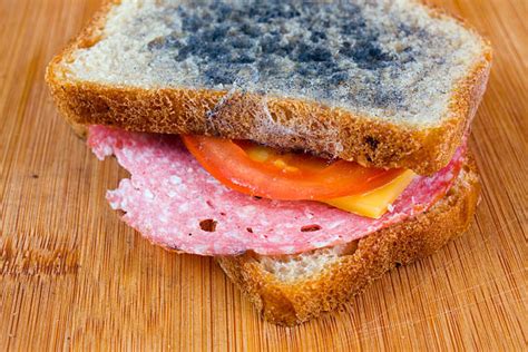 Moldy Bread Stock Photos, Pictures & Royalty-Free Images - iStock