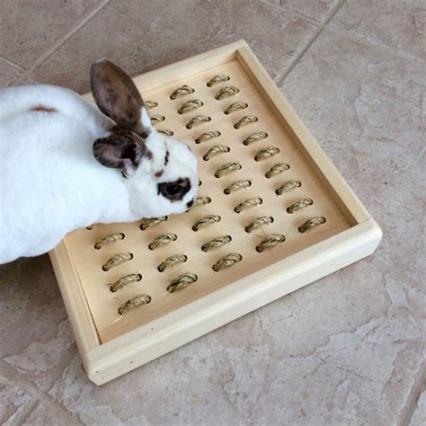 Pet Rabbit Toys & Bunny Chews - Exotic Animal Supplies