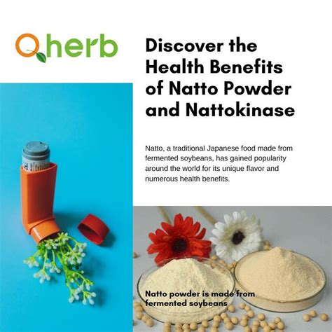 Discover the Health Benefits of Natto Powder and Nattokinase: The Powerful Duo for ...