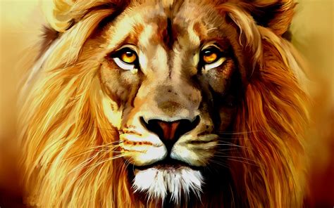 Free Lion Face Images, Download Free Lion Face Images png images, Free ...