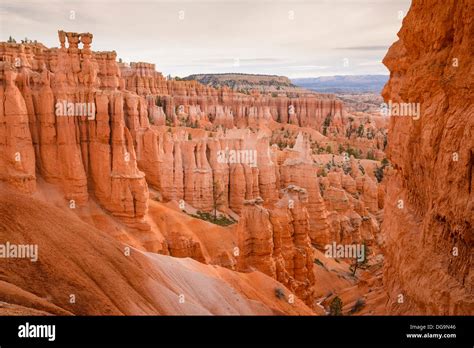 Bryce Canyon, Navajo Loop Trail, Bryce Canyon National Park, Utah Stock Photo: 61679750 - Alamy