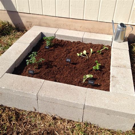 DIY Cinder Block Raised Garden Bed - Fab Everyday