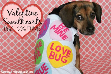 DIY Valentine Sweethearts Costume for Dogs