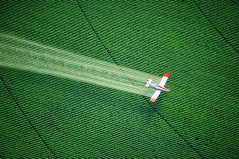 FDA Releases Report on 2016 Pesticide Residue Monitoring Program – Noon Food Network