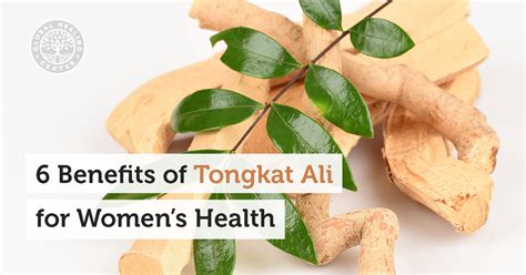 6 Benefits of Tongkat Ali for Women's Health