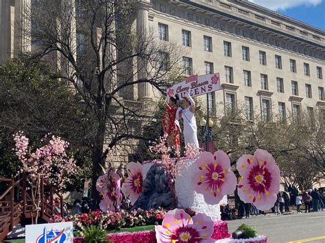 Cherry Blossom Festival Parade returns to DC after 3-year hibernation ...