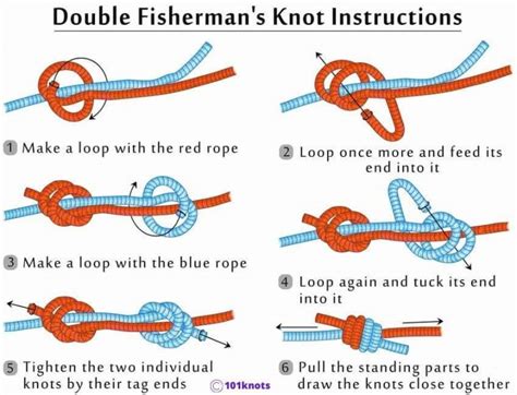 Best Knot For Dog Leash: A Quick Guide