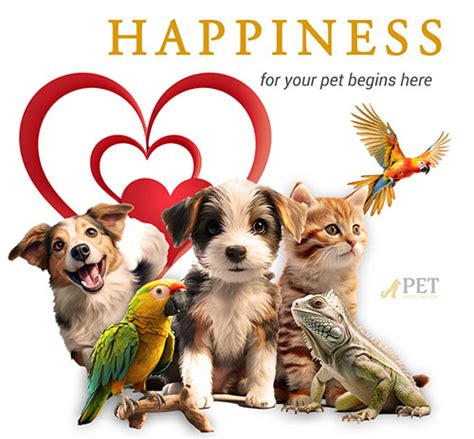 Home - Pet Supplies and Toys