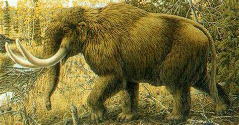 Fossil points to Mastodon hunts 13,800 years ago - CBS News