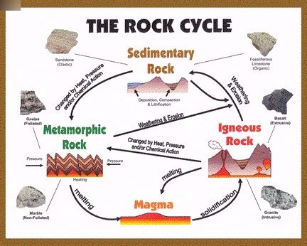 Rock Cycle Diagram | Quizlet