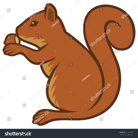 Squirrel With Hazelnut (Squirrel Eating A Hazelnut) Stock Photo ...