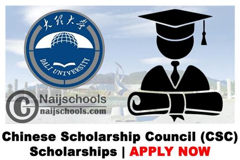 Dali University Chinese Scholarship Council (CSC) Scholarships 2020 | APPLY NOW - NAIJSCHOOLS